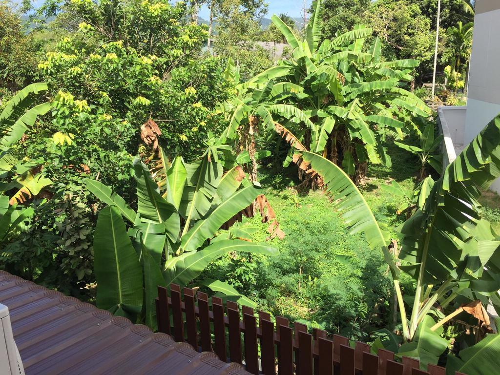 Samui Paca Place Mae Nam Buitenkant foto