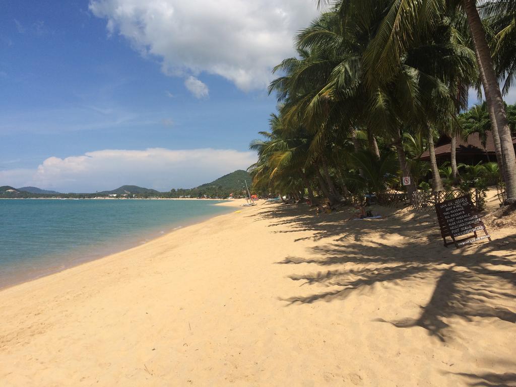 Samui Paca Place Mae Nam Buitenkant foto